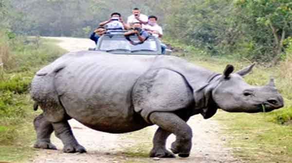 PM Modi hails Assam for the reduced number of rhino poaching