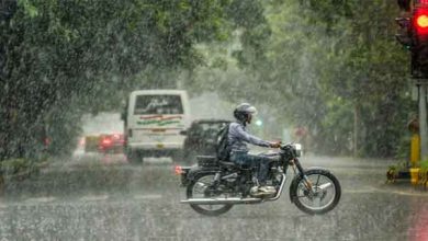 Kerala: Isolated rains accompanied by lightning, thunderstorms likely to continue till tomorrow